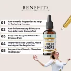 Uplift Drops - THC Dominant Mood Lifters - Benefits list