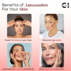 Japanese AstaReal Astaxanthin 7mg with DHA & L-Glutathione - Image 6