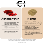 Continuity Softgel - Hemp Seed Oil & Astaxanthin Ingredients