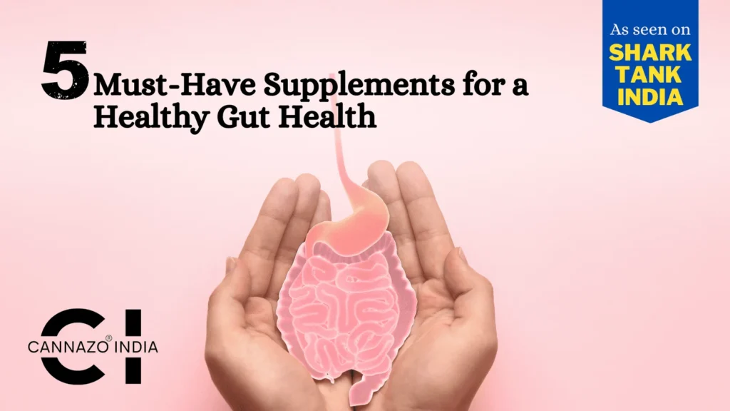 5-must-have-supplements-for-healthy-gut-health