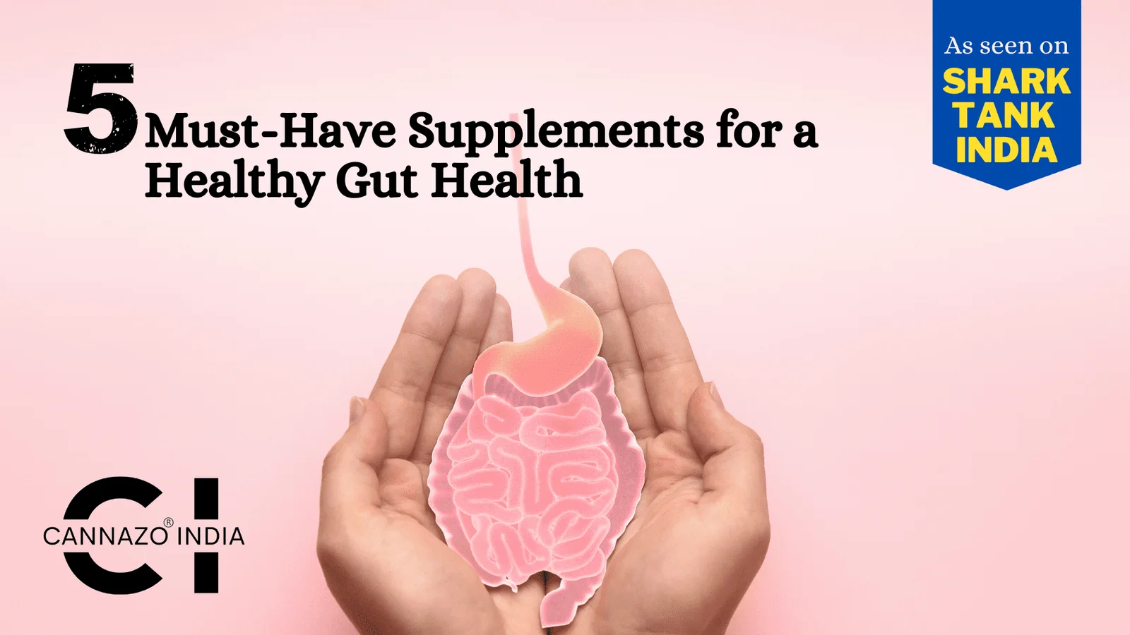 5-must-have-supplements-for-healthy-gut-health