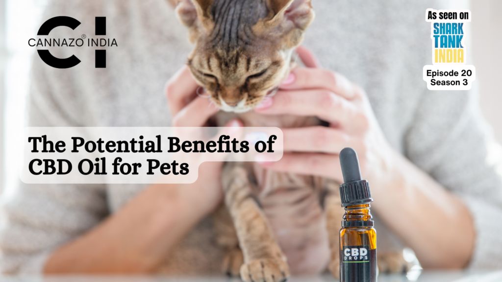 CBD Oil for Pets