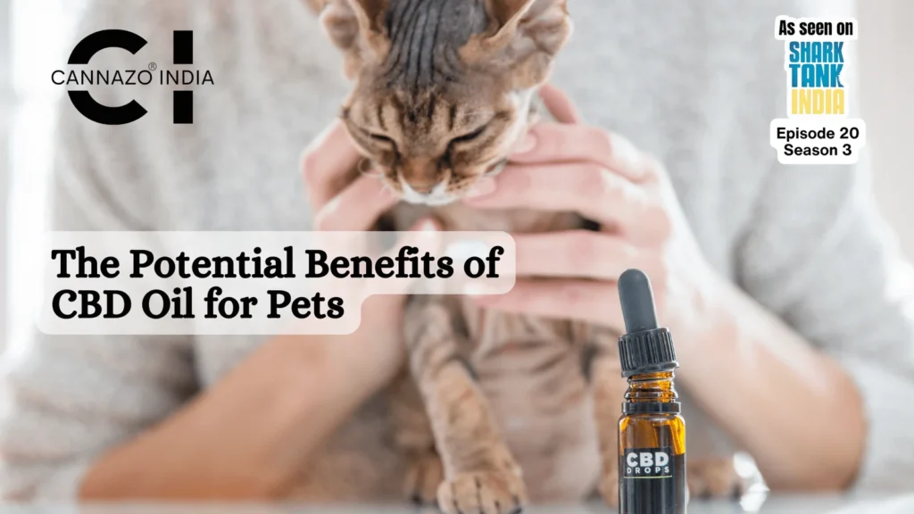 Benefits of cbd oil for pets