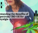 CBD Oil for Fibromyalgia