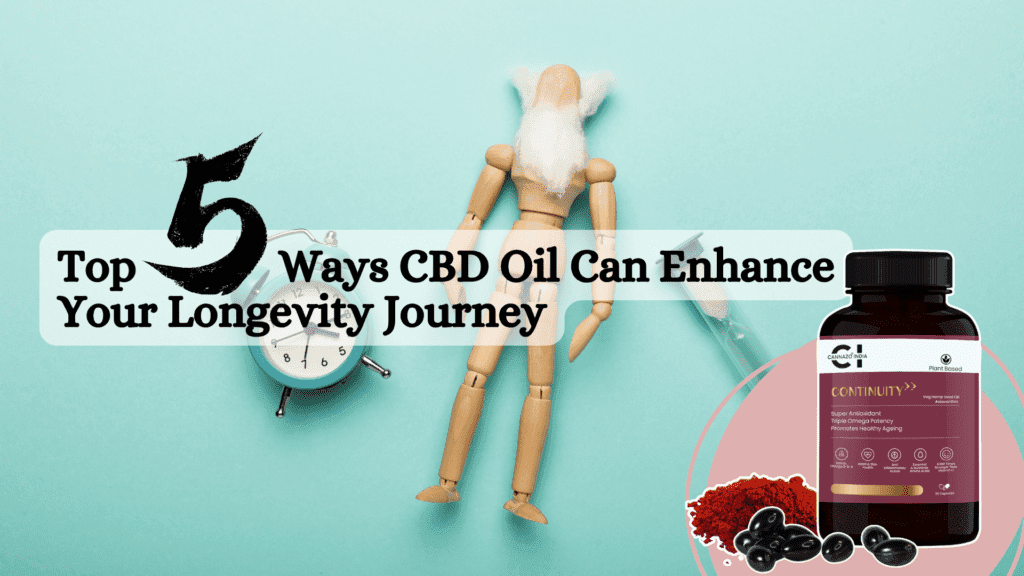 CBD oil for longevity