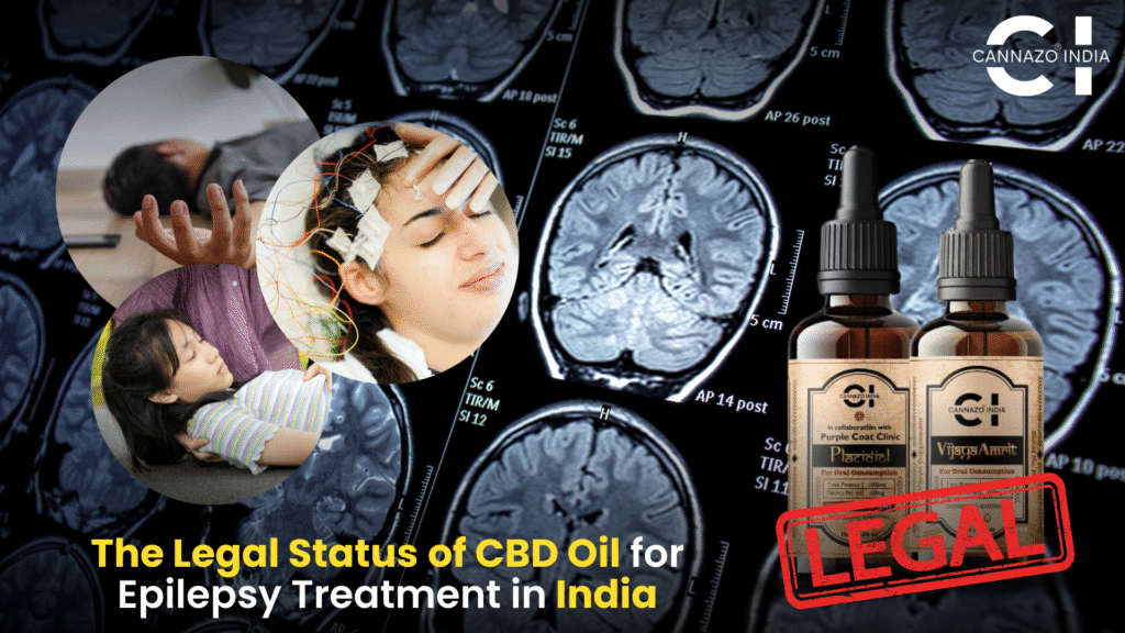 Cbd Oil for Epilepsy