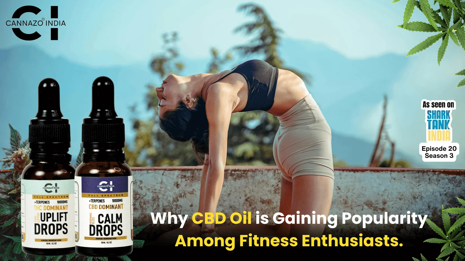 Why CBD Oil is Gaining Popularity Among Fitness Enthusiasts