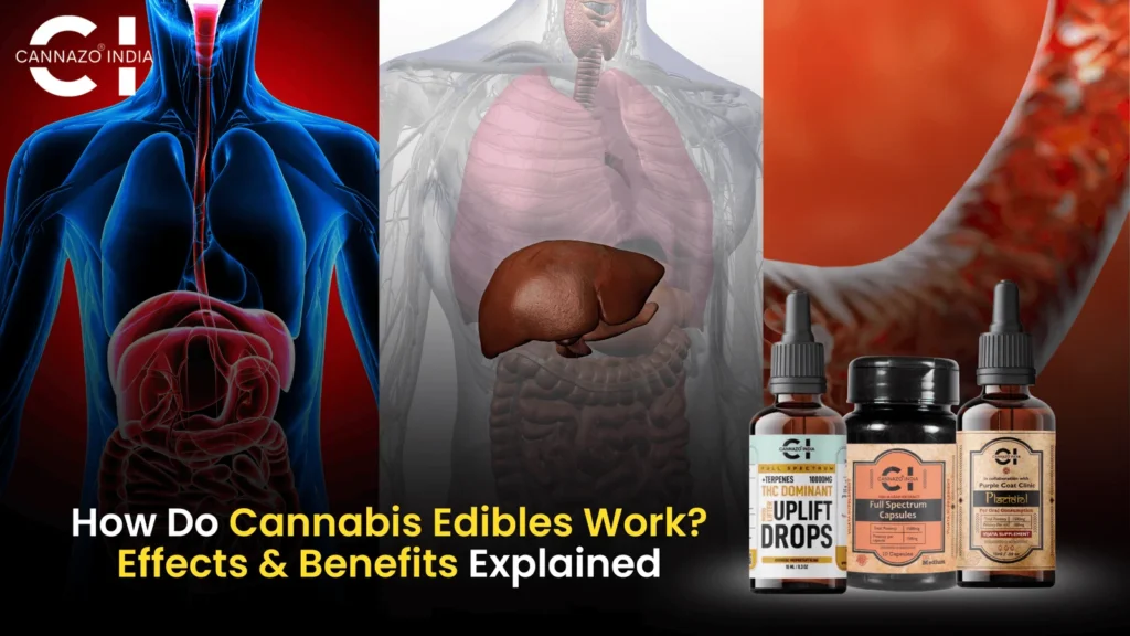 Cannabis Edibles work and Benefits