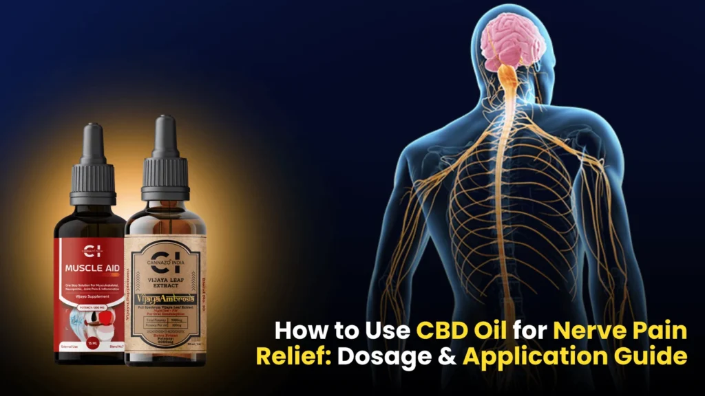 Cbd Oil for Nerve Pain