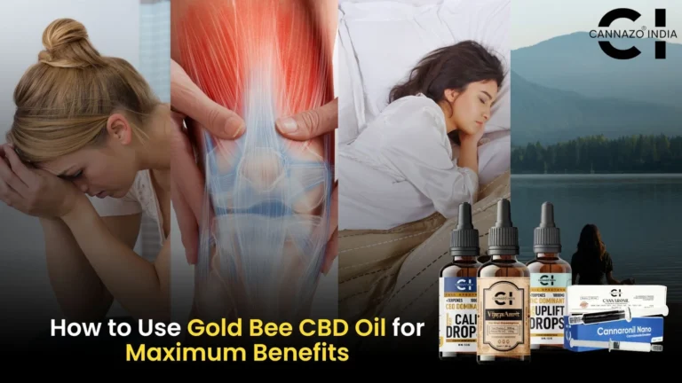 How to Use Gold Bee CBD Oil for Maximum Benefits