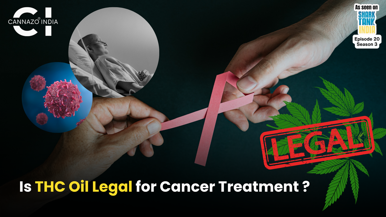 THC Oil for Cancer