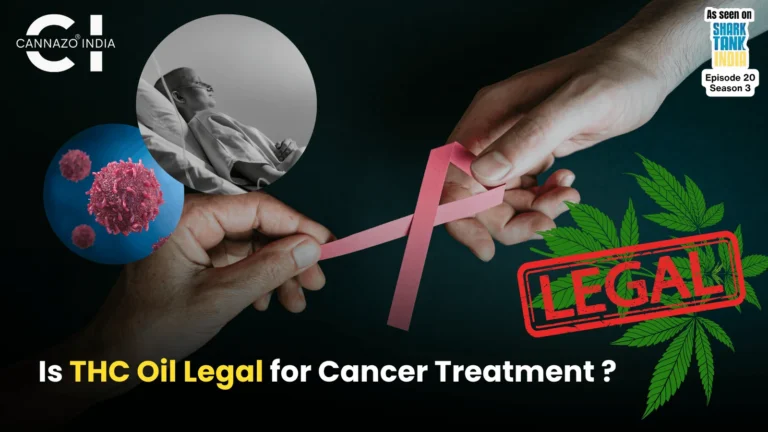 Thc Oil for Cancer