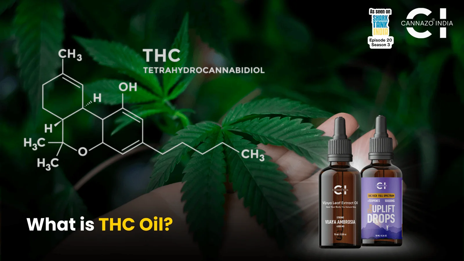 What is THC Oil