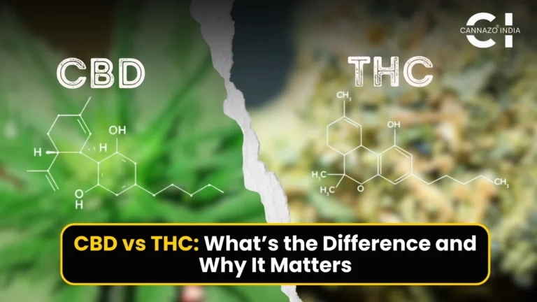 cbd vs thc