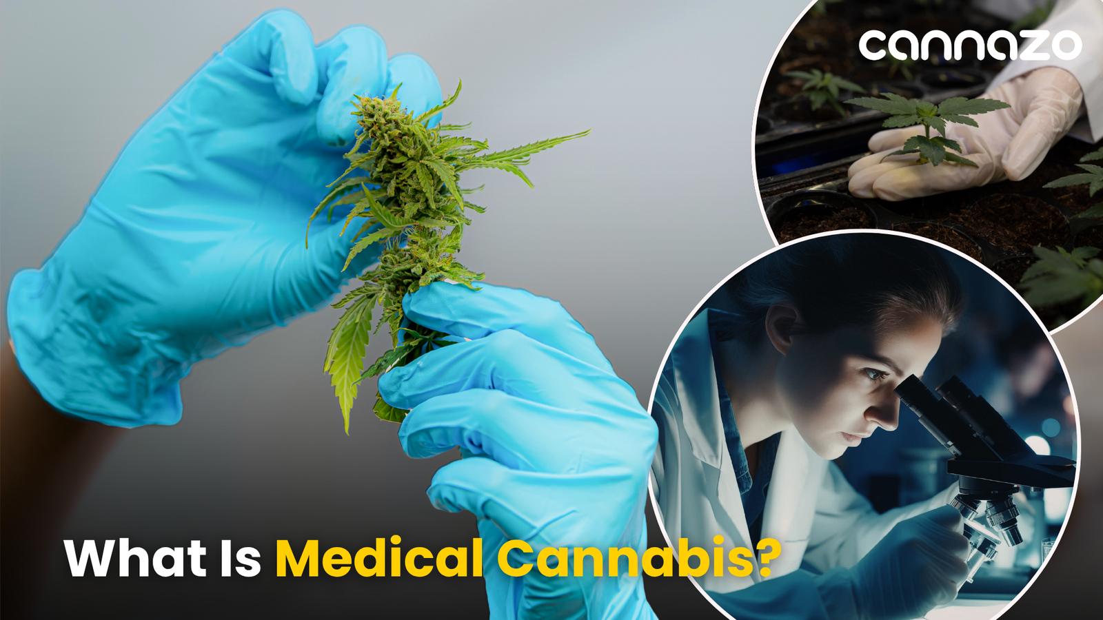 Medical Cannabis in India Opportunities & Challenges